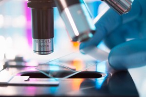 نحو جمعيات أهلية متناهية الصغر